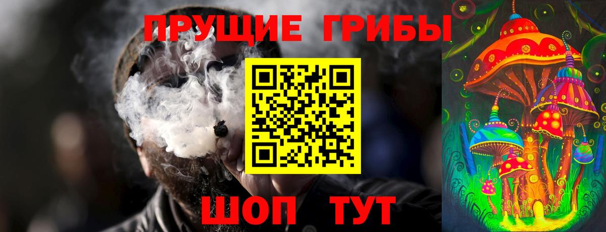 закладка  Галлюциногенные грибы мицелий  Вход с VPN  Псилоцибиновые грибы Magic Shrooms  Донской 