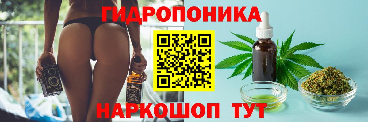Канабис сатива  Каннабис AK-47  Донской  Вход с VPN 